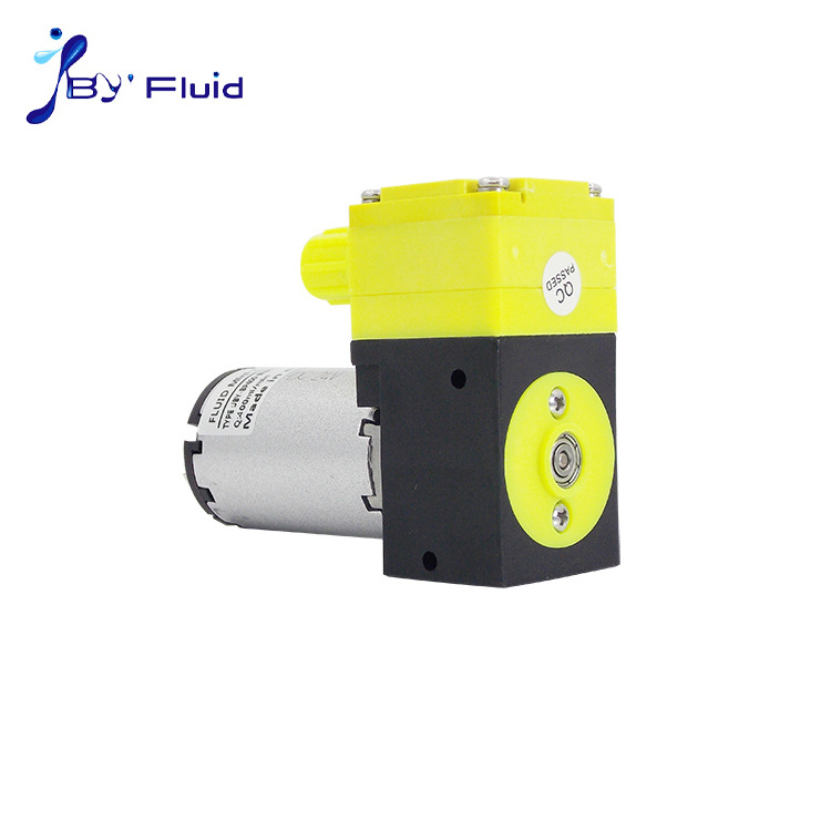 High quality Multipurpose water gas oil 12v 24v mini diaphragm Vacuum Pump Brush pump