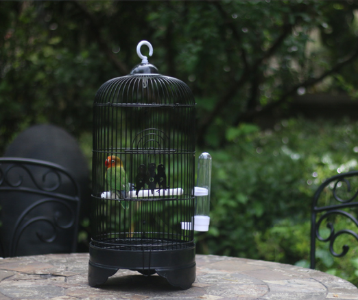 Wholesale metal wire parrot bird breeding cages Stainless bird pigeon parrot cage