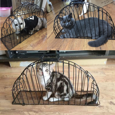 Hot sale high-quality metal 2-door hairy cat bath cage