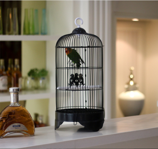 Wholesale metal wire parrot bird breeding cages Stainless bird pigeon parrot cage