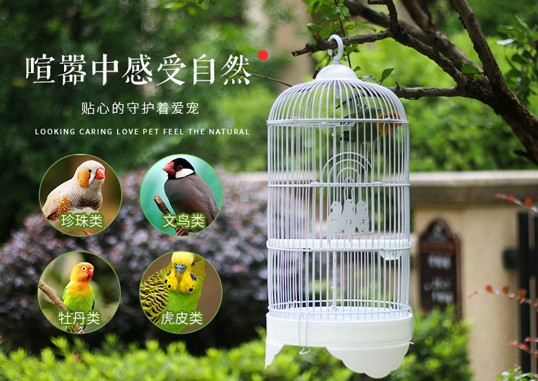 Wholesale metal wire parrot bird breeding cages Stainless bird pigeon parrot cage