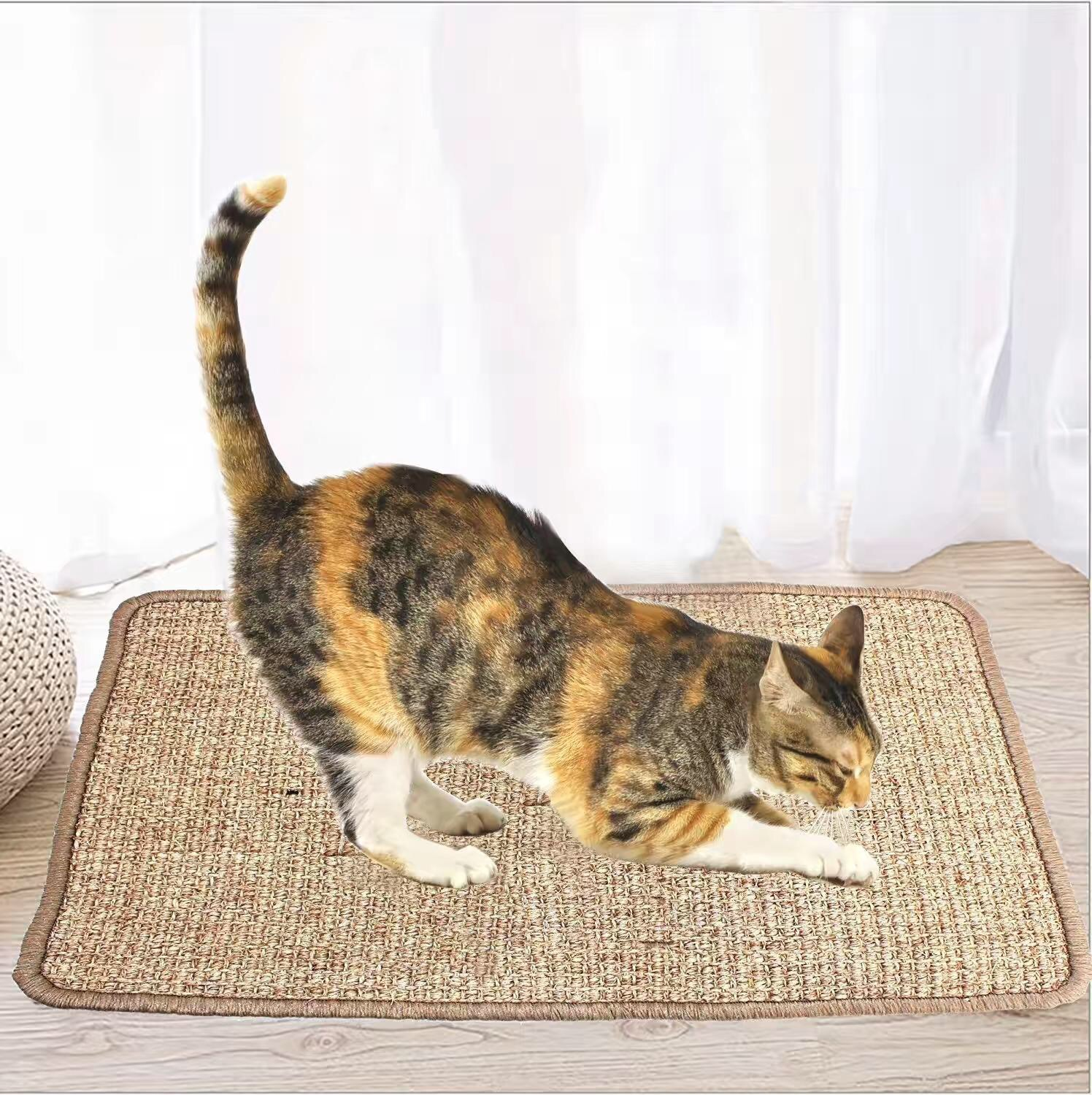 Wholesale Custom New Design Rectangular Training Board Carpet Cat Scratcher Pet Toys