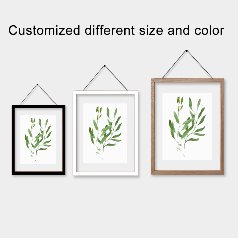 Display Modern Artwork Pressed Flowers Dried Plant Specimen Horizontal Floating Frame