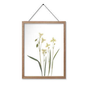 Display Modern Artwork Pressed Flowers Dried Plant Specimen Horizontal Floating Frame