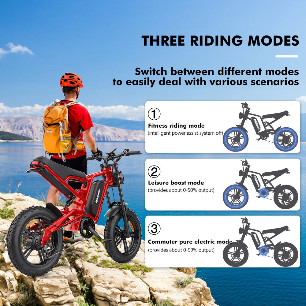 2024 popular high quality Hidoes B6 1200W 48V 20INCH Pro Fat Tire Off Road Snow Moped Electric Bike E-Scooter