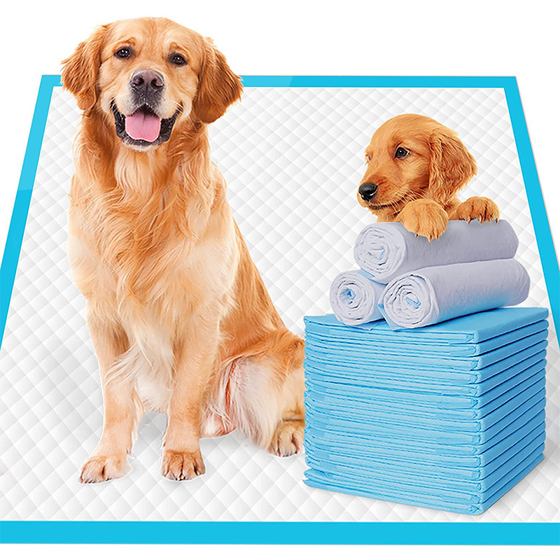 Hot Sell Wholesalers Custom Indoor Puppy Urine Pee Pad Dog Pet Training Mats Disposable Dog Pee Pads