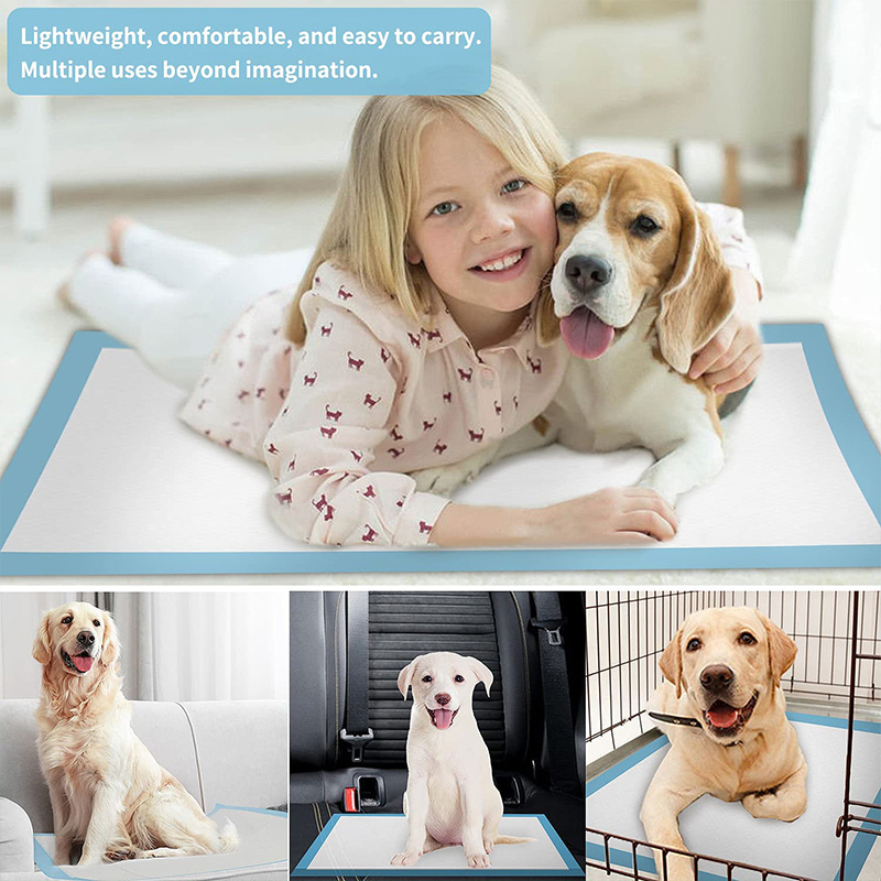 Hot Sell Wholesalers Custom Indoor Puppy Urine Pee Pad Dog Pet Training Mats Disposable Dog Pee Pads