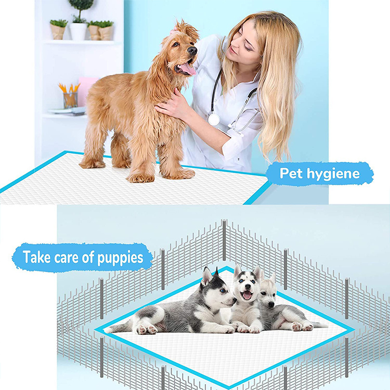 Hot Sell Wholesalers Custom Indoor Puppy Urine Pee Pad Dog Pet Training Mats Disposable Dog Pee Pads