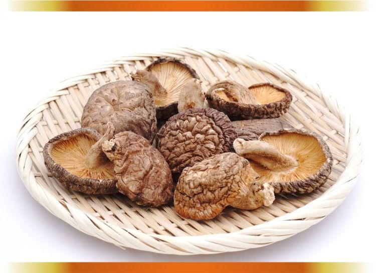 Truffles delicious quality goods dry food shiitake mushrooms