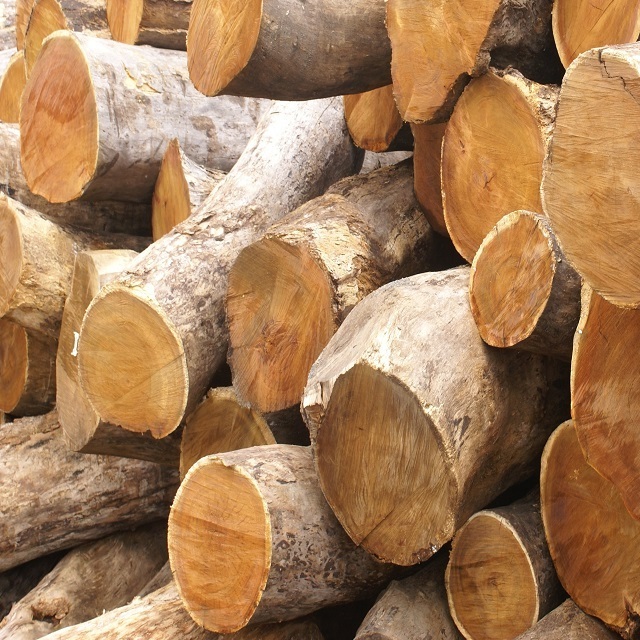 natural Solid Acacia wood logs for making pallet and furniture High Quality Low price