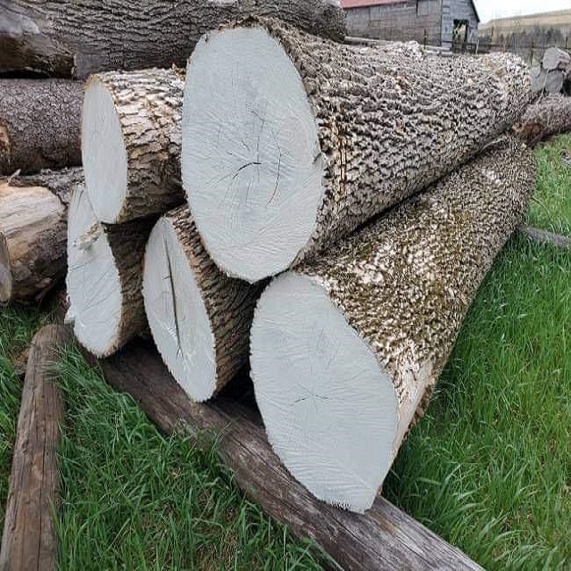 natural Solid Acacia wood logs for making pallet and furniture High Quality Low price