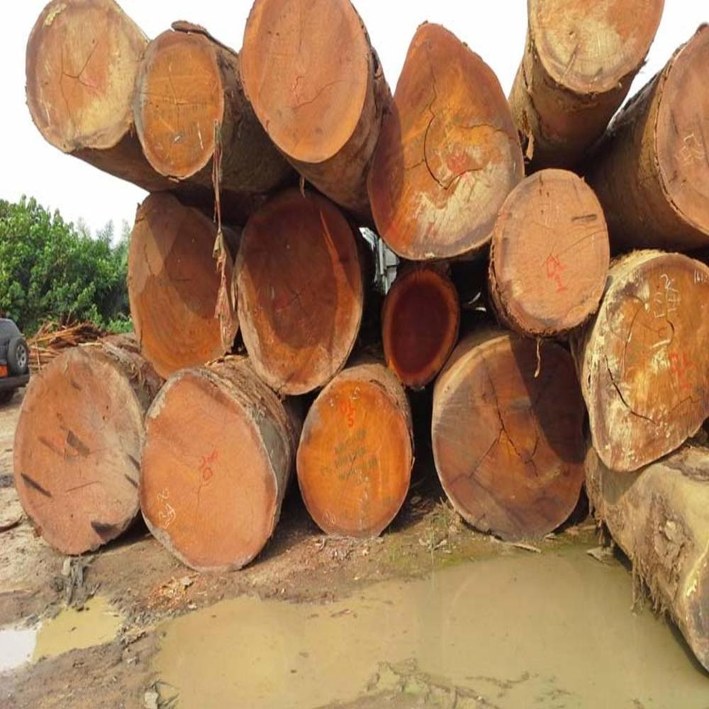 natural Solid Acacia wood logs for making pallet and furniture High Quality Low price