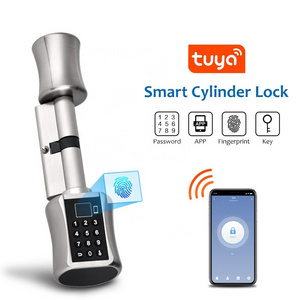 WIFI Smart TUYA Fingerprint Door Lock Siri phone app US Locks Smart Home Remote Control Wireless Lock cylinder