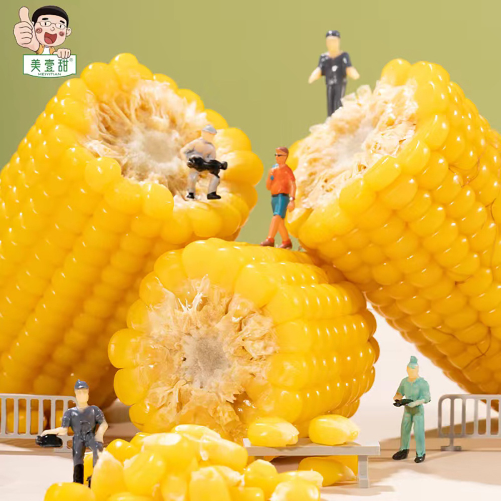 Ready to Eat Yellow Corn Cob Vacuum packed Non GMO Maize Sweet Waxy Fresh Corn