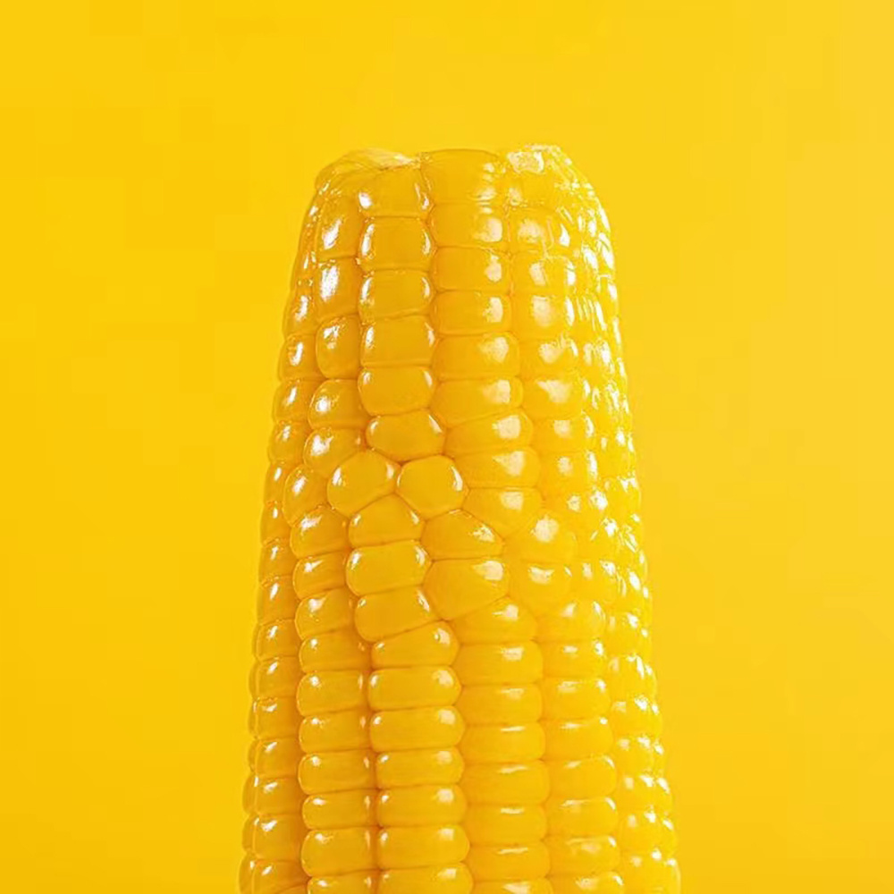 Ready to Eat Yellow Corn Cob Vacuum packed Non GMO Maize Sweet Waxy Fresh Corn