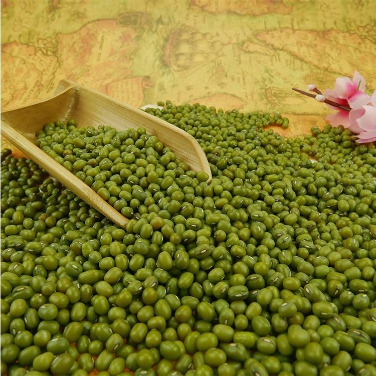 3.8mm Green Mung Bean Mung Beans Sprout Use For Sale