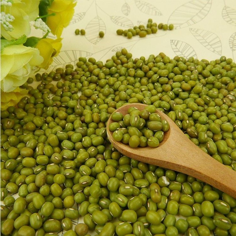 3.8mm Green Mung Bean Mung Beans Sprout Use For Sale