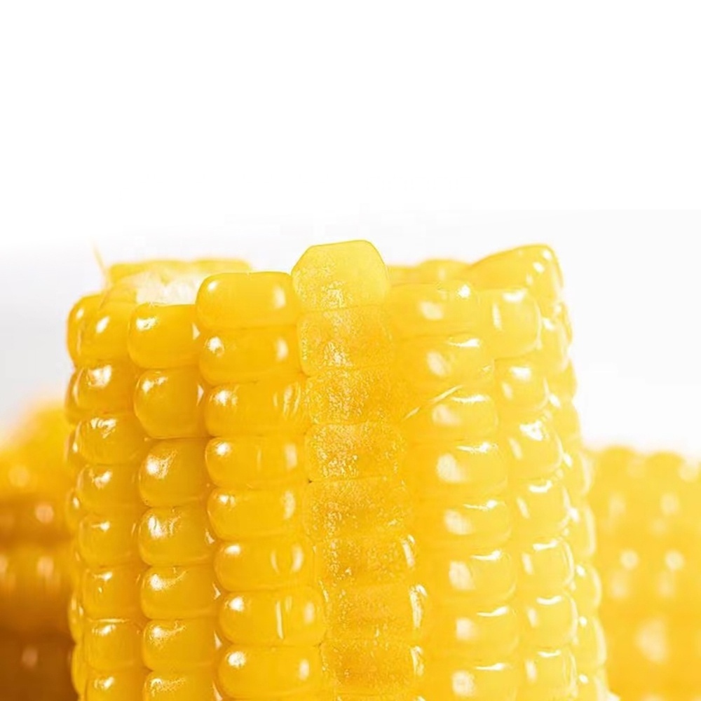 Ready to Eat Yellow Corn Cob Vacuum packed Non GMO Maize Sweet Waxy Fresh Corn