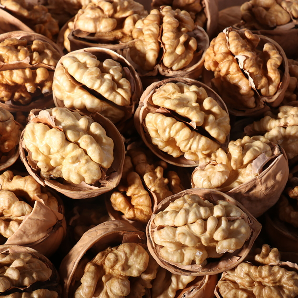 Walnut Kernel Light Halves Delicious Nut and Kernels China Origin Shelled And Unshelled Roasted Walnut