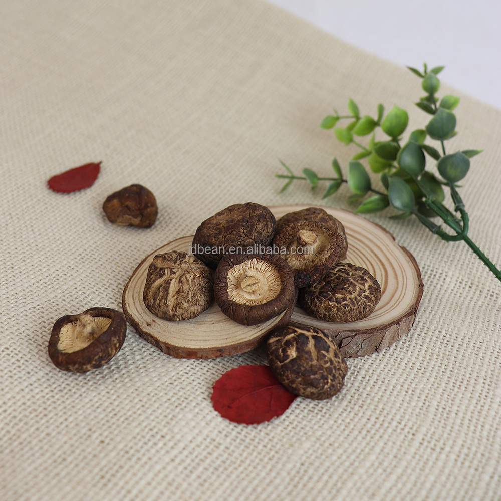 Wholesale Dried Organic Shiitake Mushroom Edible