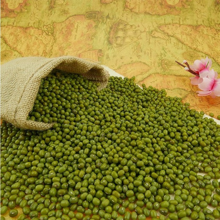 3.8mm Green Mung Bean Mung Beans Sprout Use For Sale