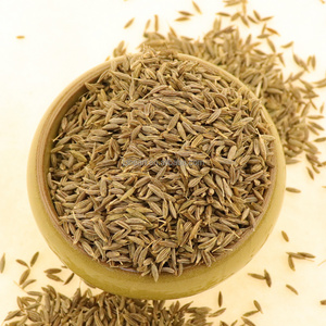 Wholesale High Quality Dried Jeera Cumin Seeds graines de cumin noire Black Cumin Seed China