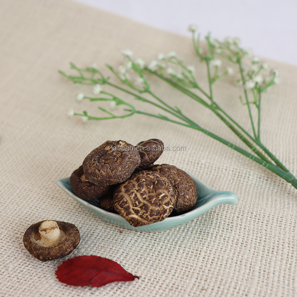 Wholesale Dried Organic Shiitake Mushroom Edible