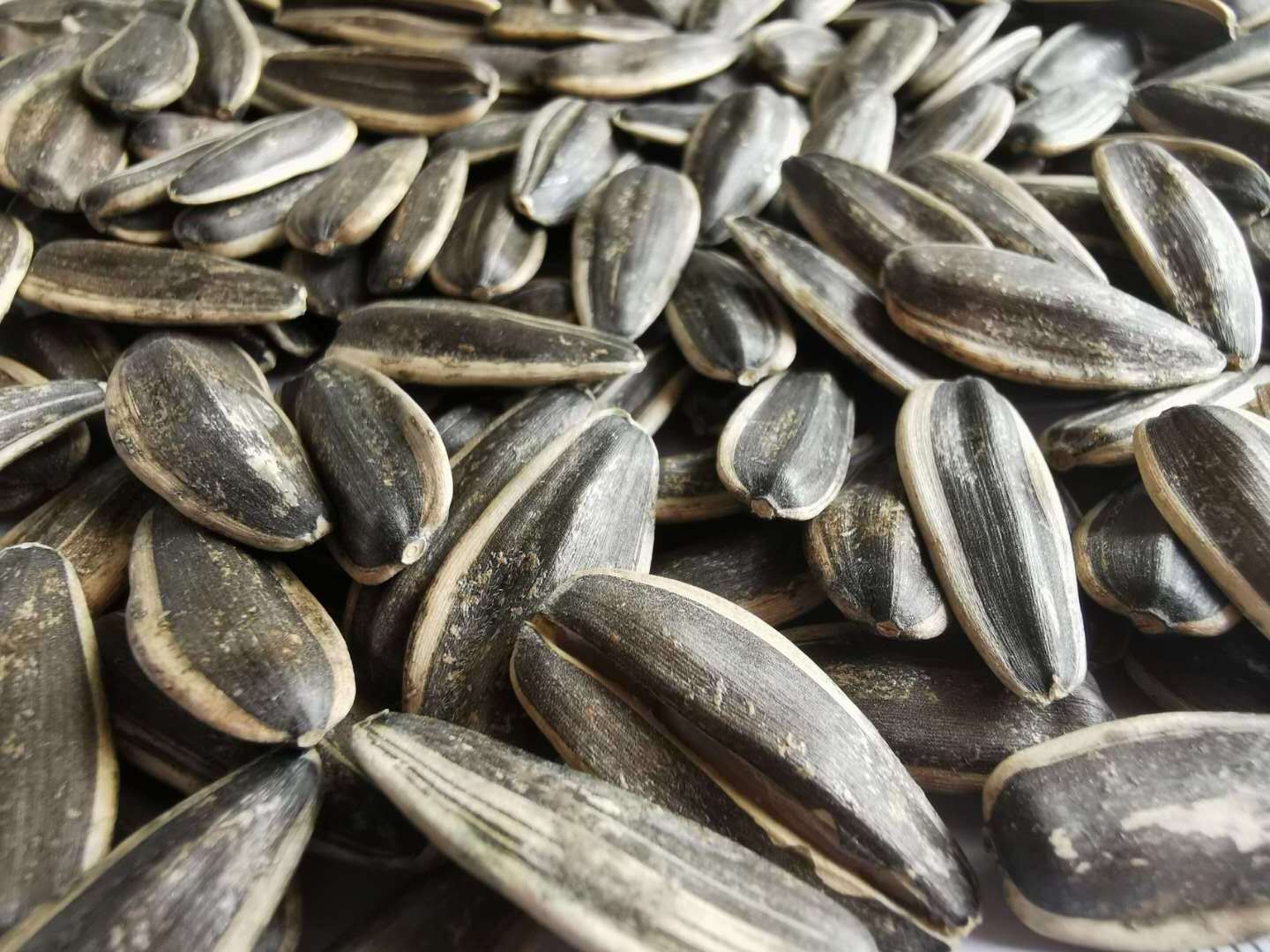 Sunflower Seed 361 Chinese From Inner Monglia Sunflower Seeds Raw