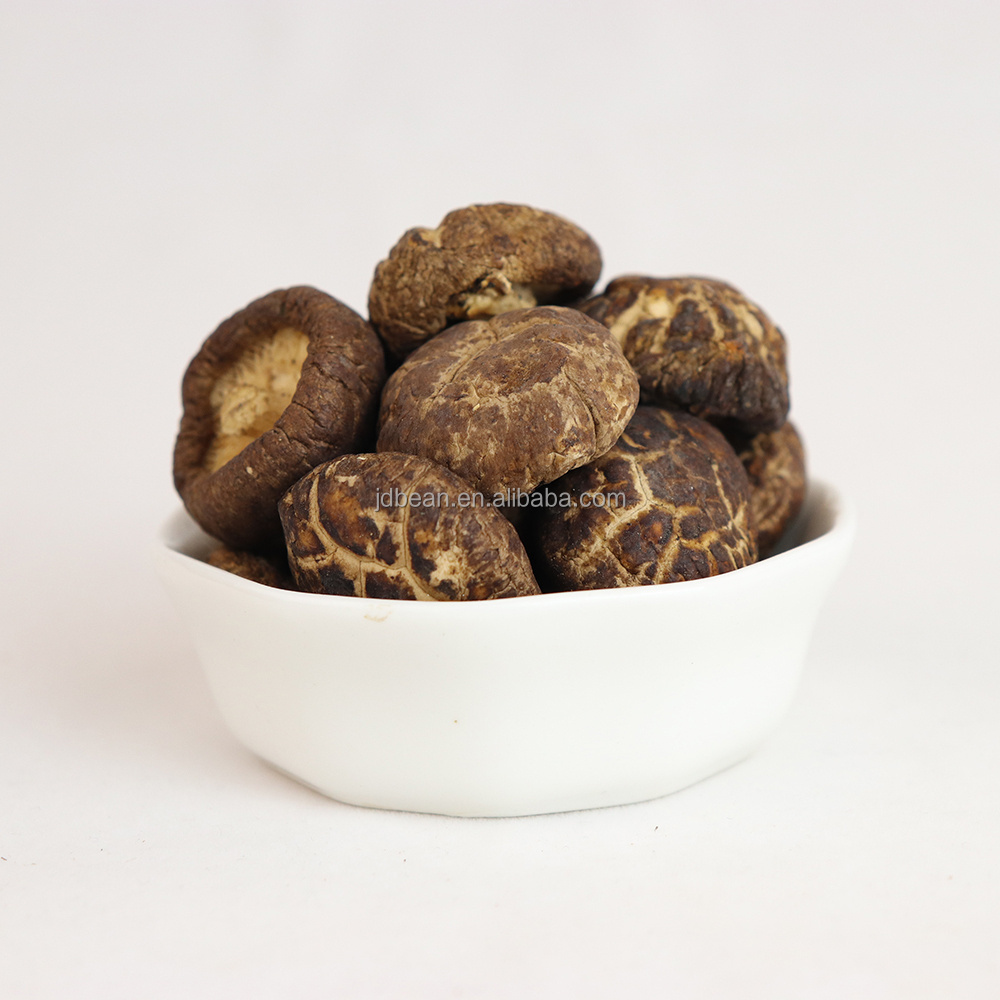 Wholesale Dried Organic Shiitake Mushroom Edible