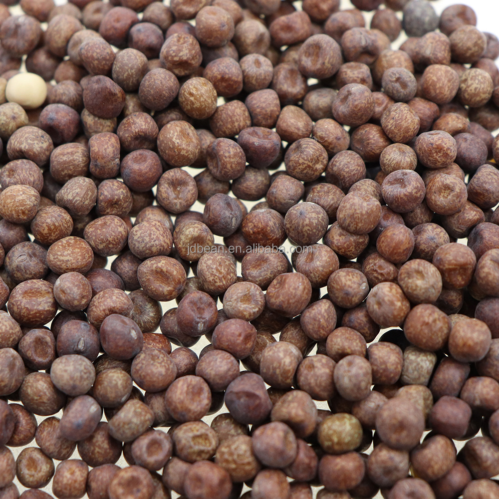 Natural Growth Bird Food Pigeon Peas Feed Grade Dried Maple Peas