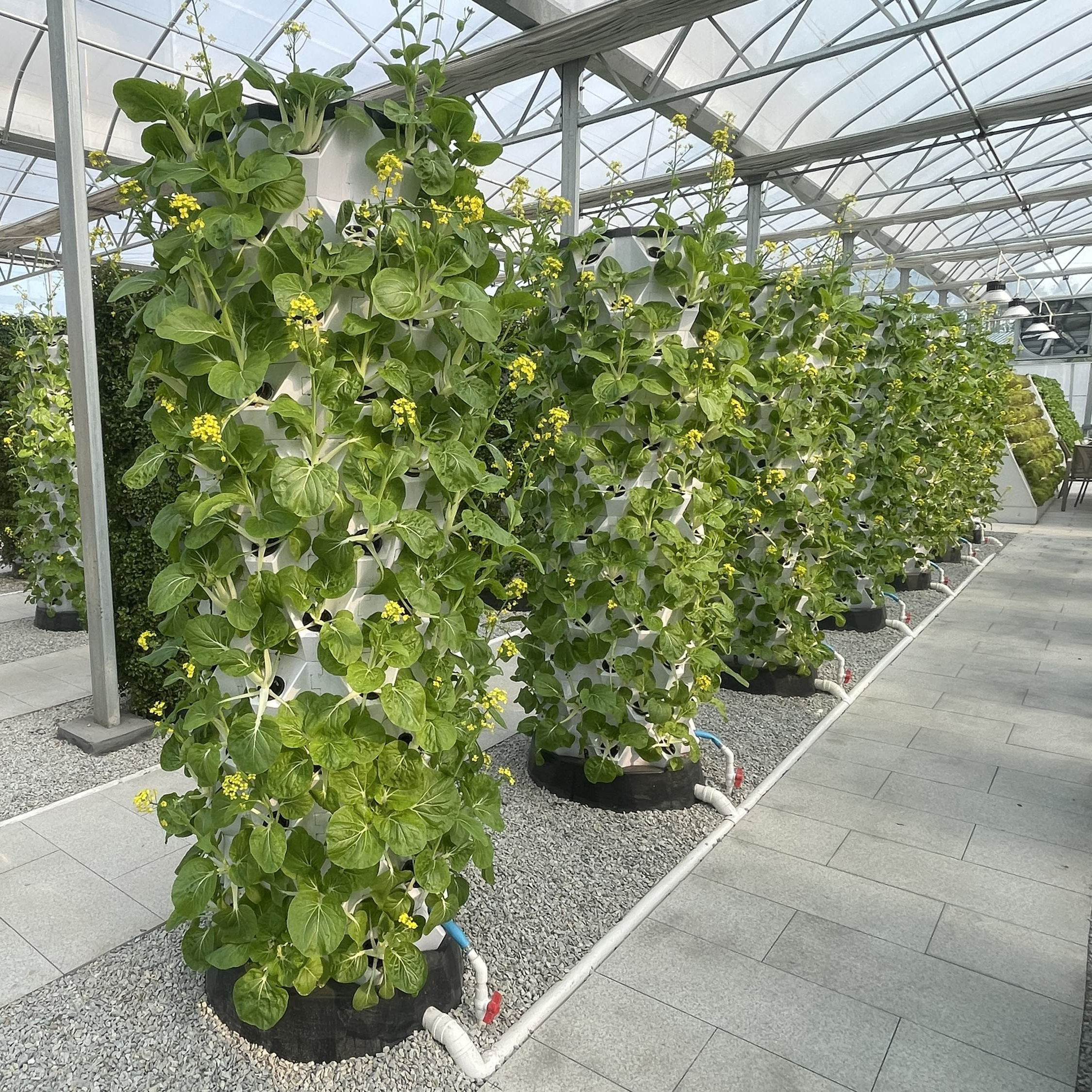 Agricultural greenhouses vertical farming aeroponics system hydroponic grow tower garden vertical hydroponic system