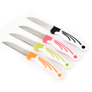 2.5Inch Home Paring Knife for Vegetables Stainless Steel and Metal with PP Handle for Cutting Meat Fruit Vegetables