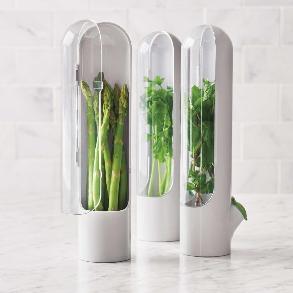 Herb Savor 2023 Hot Selling Storage Container Freshness Keeper Transparent Refrigerator Saver For Kitchen