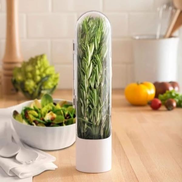 Herb Savor 2023 Hot Selling Storage Container Freshness Keeper Transparent Refrigerator Saver For Kitchen