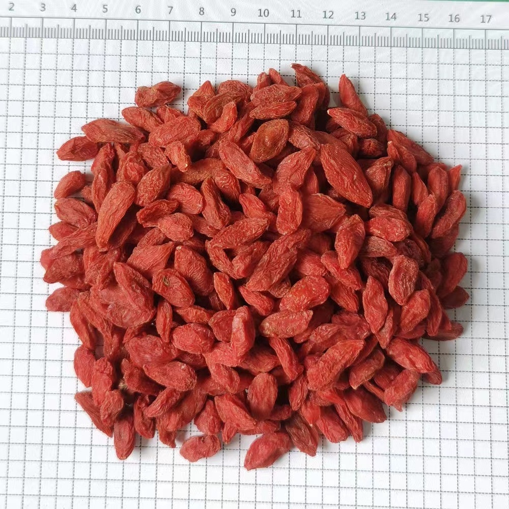 High Quality Bulk Dried Goji Fructus Lycii China Goji Dried Fruit Dried Goji Berries for Sale