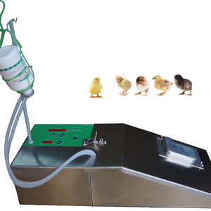 Automatic vaccination instrument chick injector veterinary syringe sterilization machine HJ-AID-P-20D