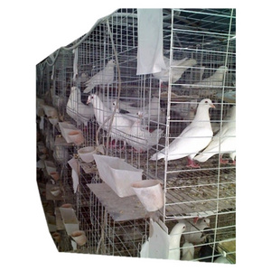 Gold Supplier Steel Racing Transport Pigeon Breeding Cage HJ-PC32