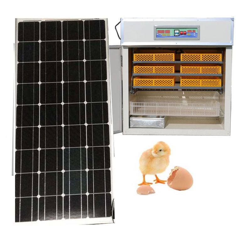 AC/DC Dual Power Supply 500 egg incubator and hatcher fully automatic solar