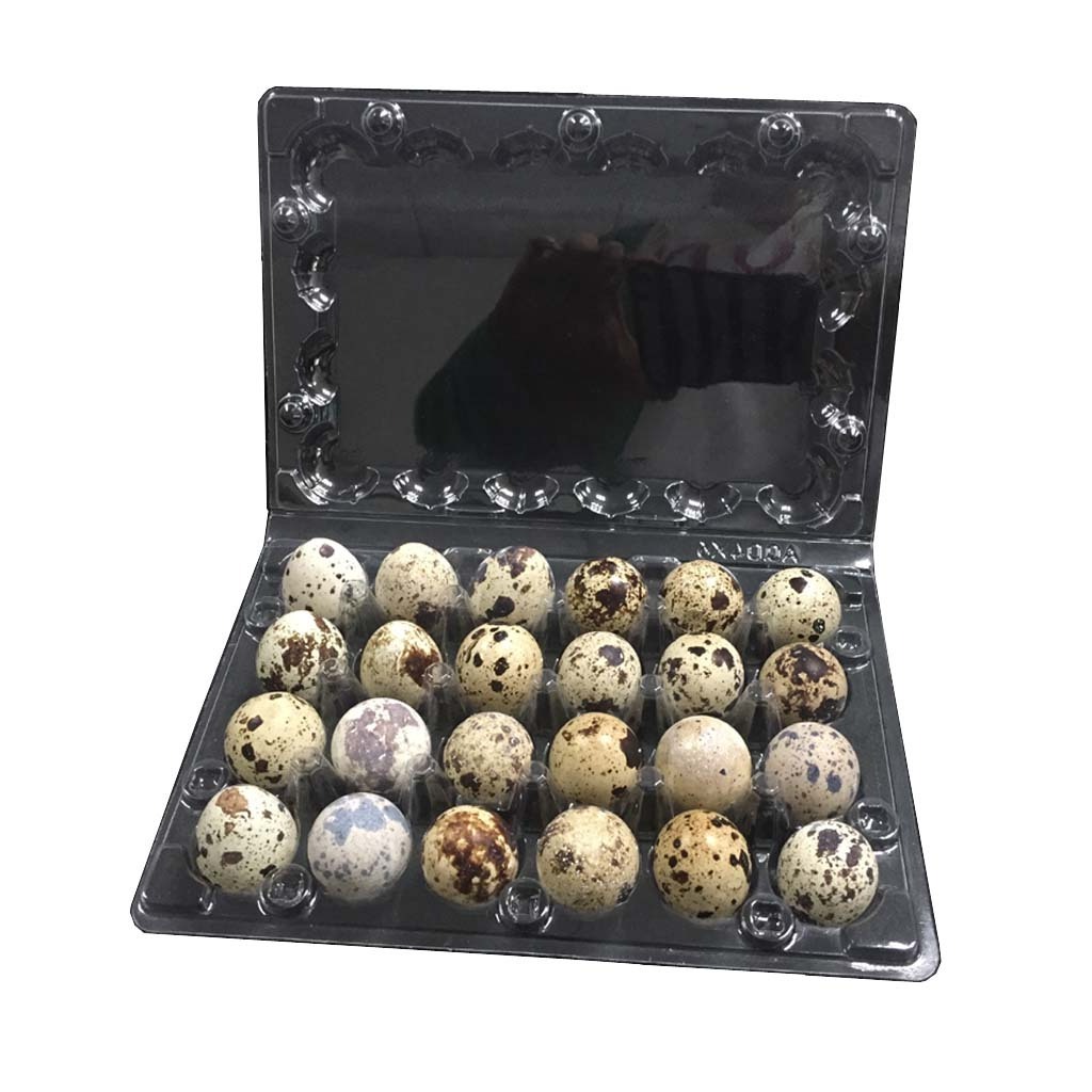 24 Holes Clear Plastic Quail Egg Tray packaging for quail eggs