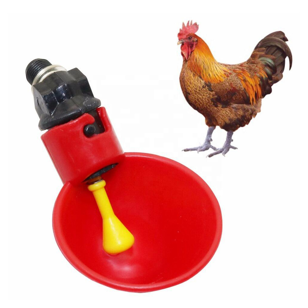 Poultry watering system automatic quail pigeon chicken water nipples cup drinker