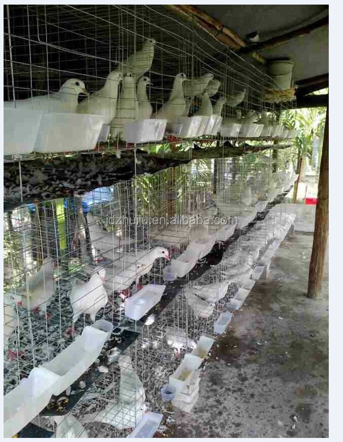 Commercial professional pigeon breeding cage HJ-PC24