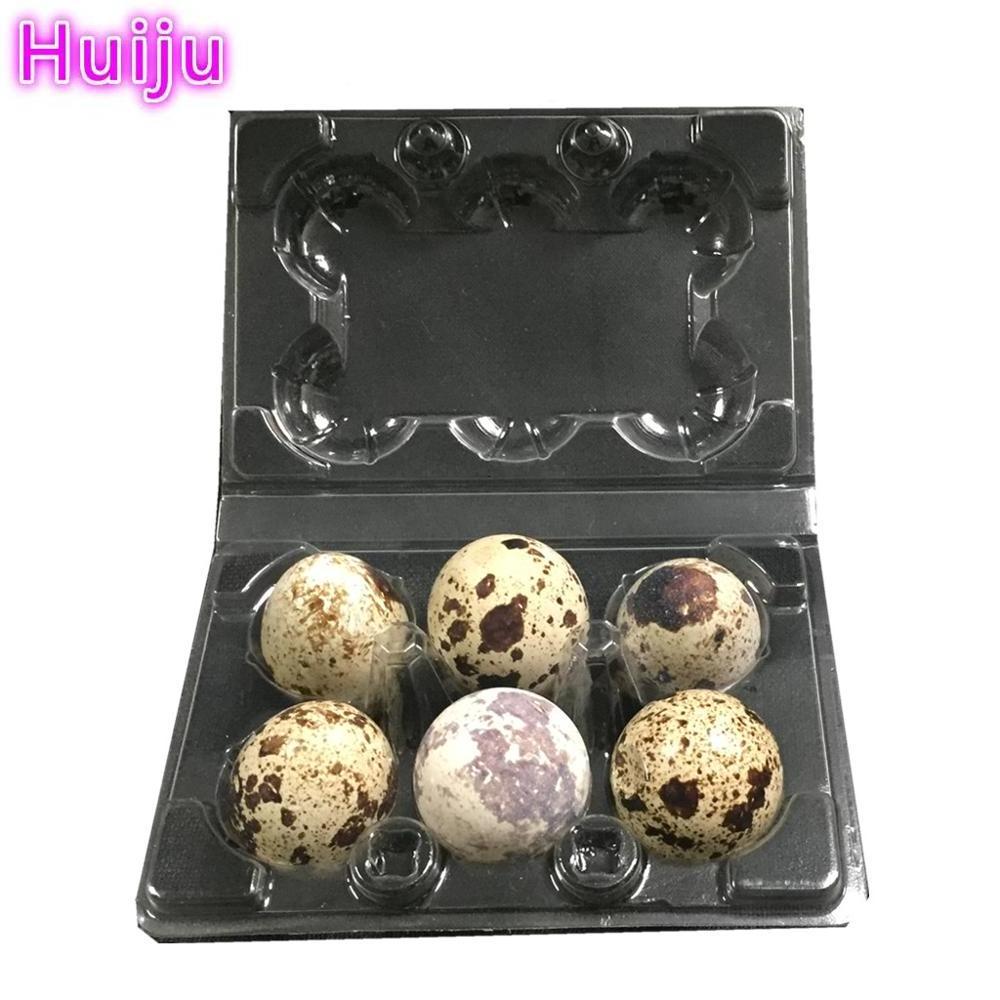 1000 pieces packaging container quail egg tray/plastic quail egg cartons