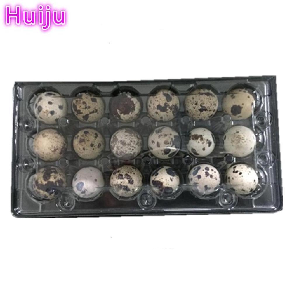 1000 pieces packaging container quail egg tray/plastic quail egg cartons