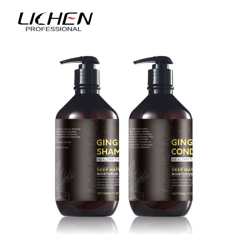 Guangzhou manufacture OEM ginger shampoo and ginger conditioner 500ml for hair loss