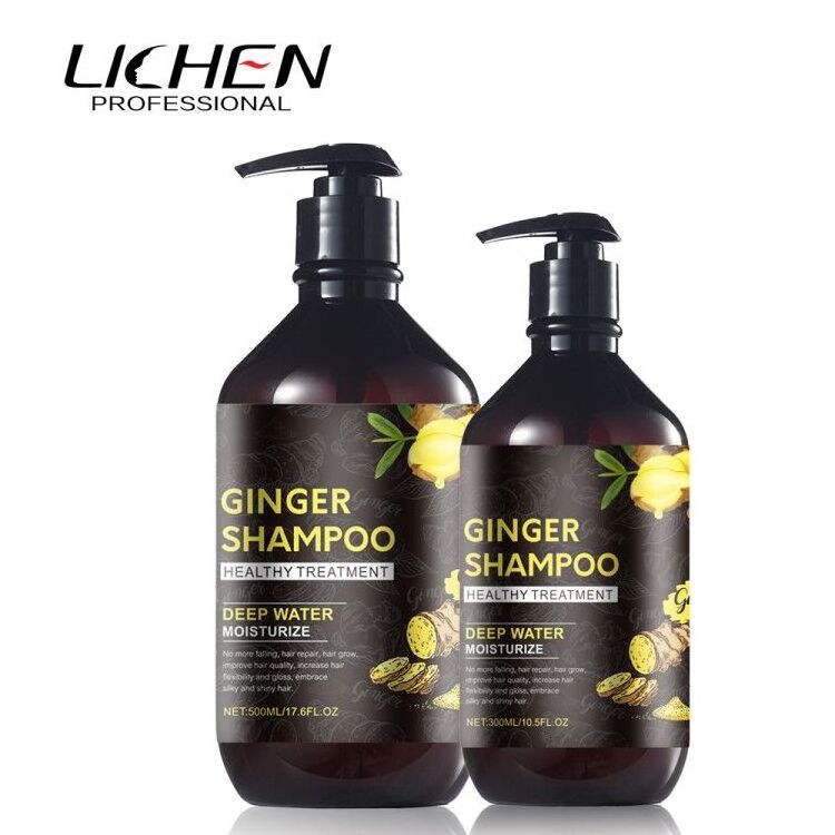 Guangzhou manufacture OEM ginger shampoo and ginger conditioner 500ml for hair loss