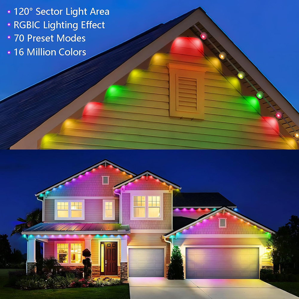 Led Suppliers Permanent Outdoor Lights For Home Decoration 100ft 36v Ip68 Led Outside Christmas Lights