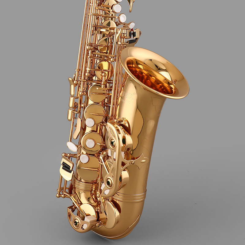 AAS-100 brass Good Quality High Grade Alto Saxophone for Factory Price Case Yellow Gold Accessories Set ALEX