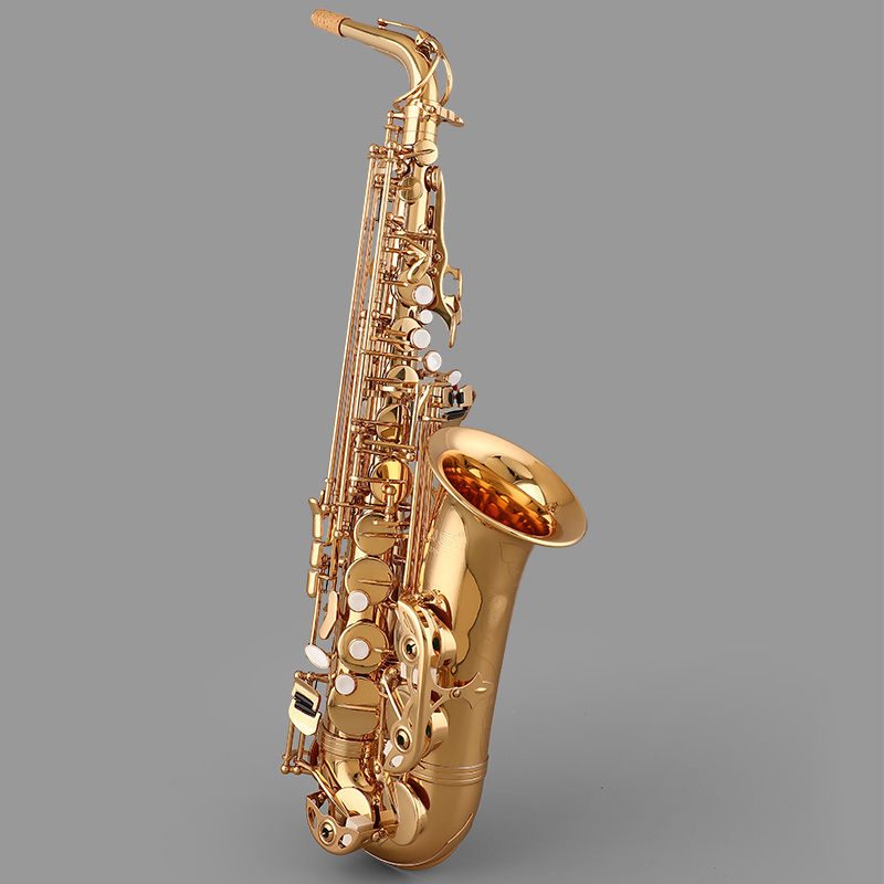 AAS-100 brass Good Quality High Grade Alto Saxophone for Students Factory Price Case Yellow Gold Accessories Set ALEX