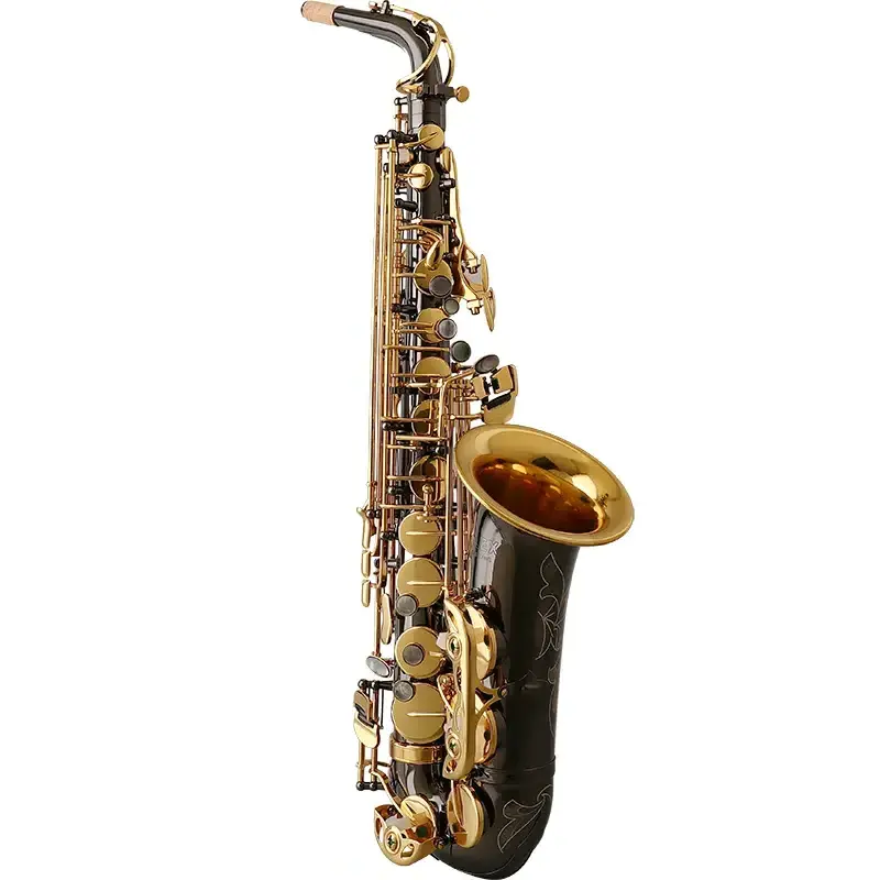 AAS-300NG brass black  Good Quality High Grade Alto Saxophone for  Factory Price Case Yellow Gold Accessories Set ALEX