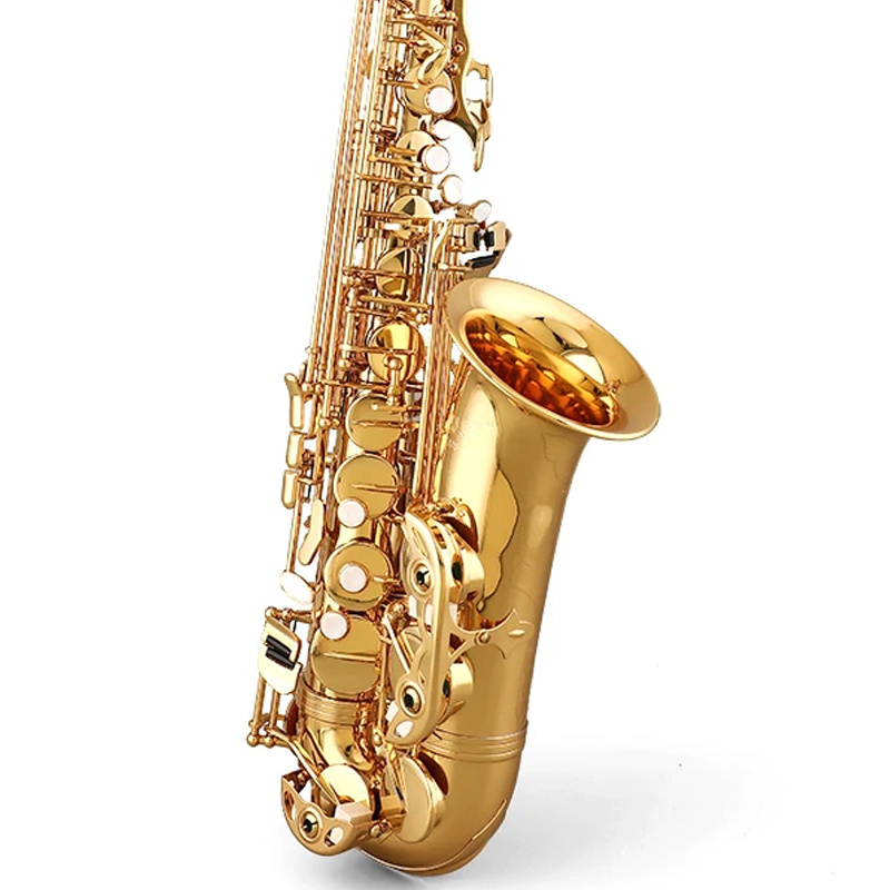 AAS-100 brass Good Quality High Grade Alto Saxophone for Factory Price Case Yellow Gold Accessories Set ALEX